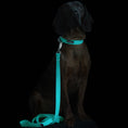 Carica l'immagine nel visualizzatore della galleria, Guinzaglio fluorescente Glow per cani