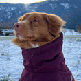Carica l'immagine nel visualizzatore della galleria, Giacca invernale per cani Extreme Warmer III Eco