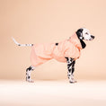 Carica l'immagine nel visualizzatore della galleria, PAIKKA Guscio giacca riflettente e impermeabile per cani