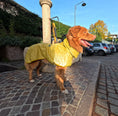 Carica l'immagine nel visualizzatore della galleria, Giacca Impermeabile per cani Mudventure Riflettente