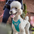 Carica l'immagine nel visualizzatore della galleria, Pettorina per cani Weekend Warrior