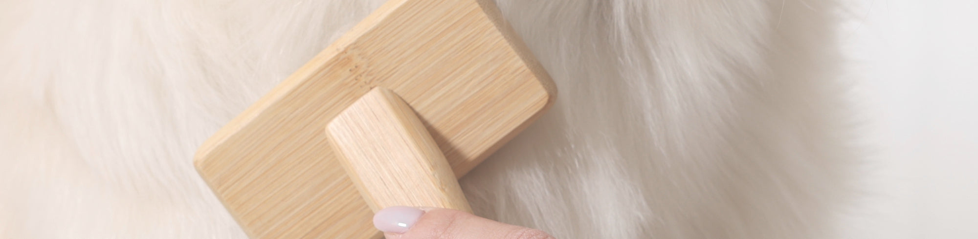 Spazzole, pettini e taglianodi