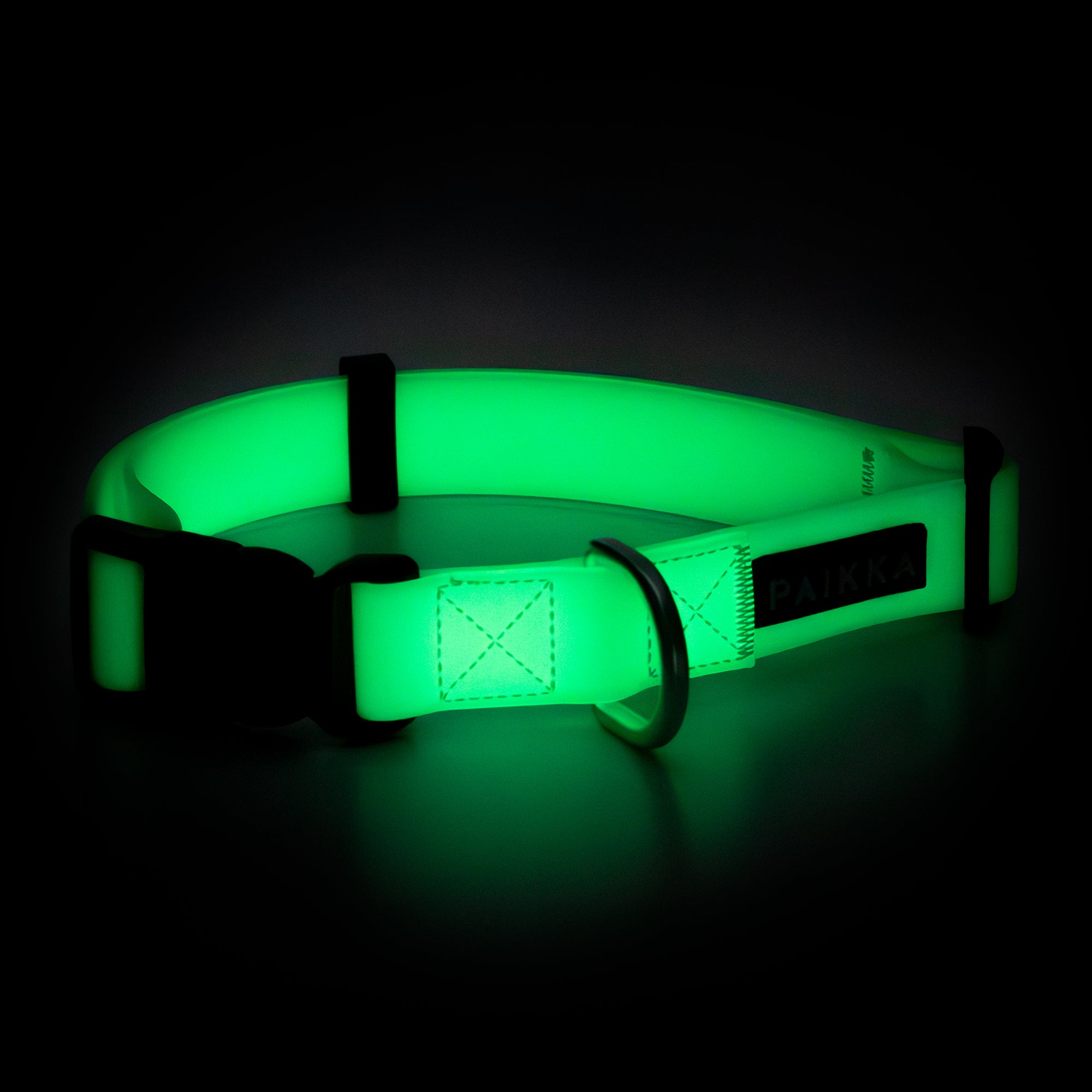 Collare fluorescente Glow per cani