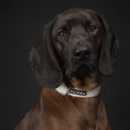 Carica l'immagine nel visualizzatore della galleria, Collare fluorescente Glow per cani
