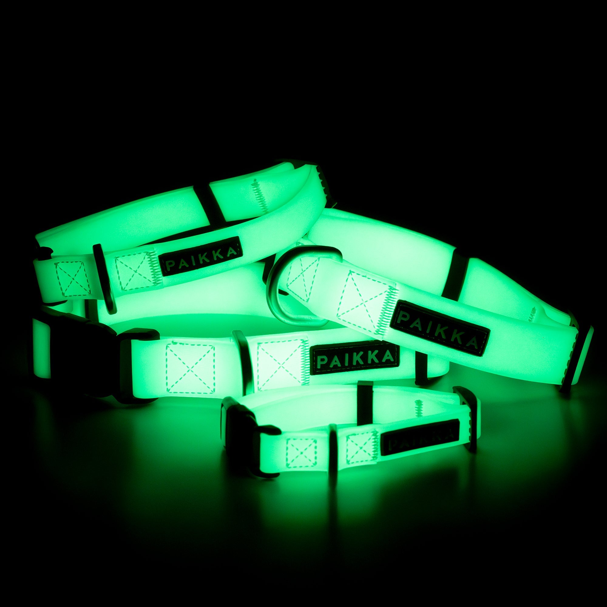 Collare fluorescente Glow per cani