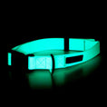 Carica l'immagine nel visualizzatore della galleria, Collare fluorescente Glow per cani
