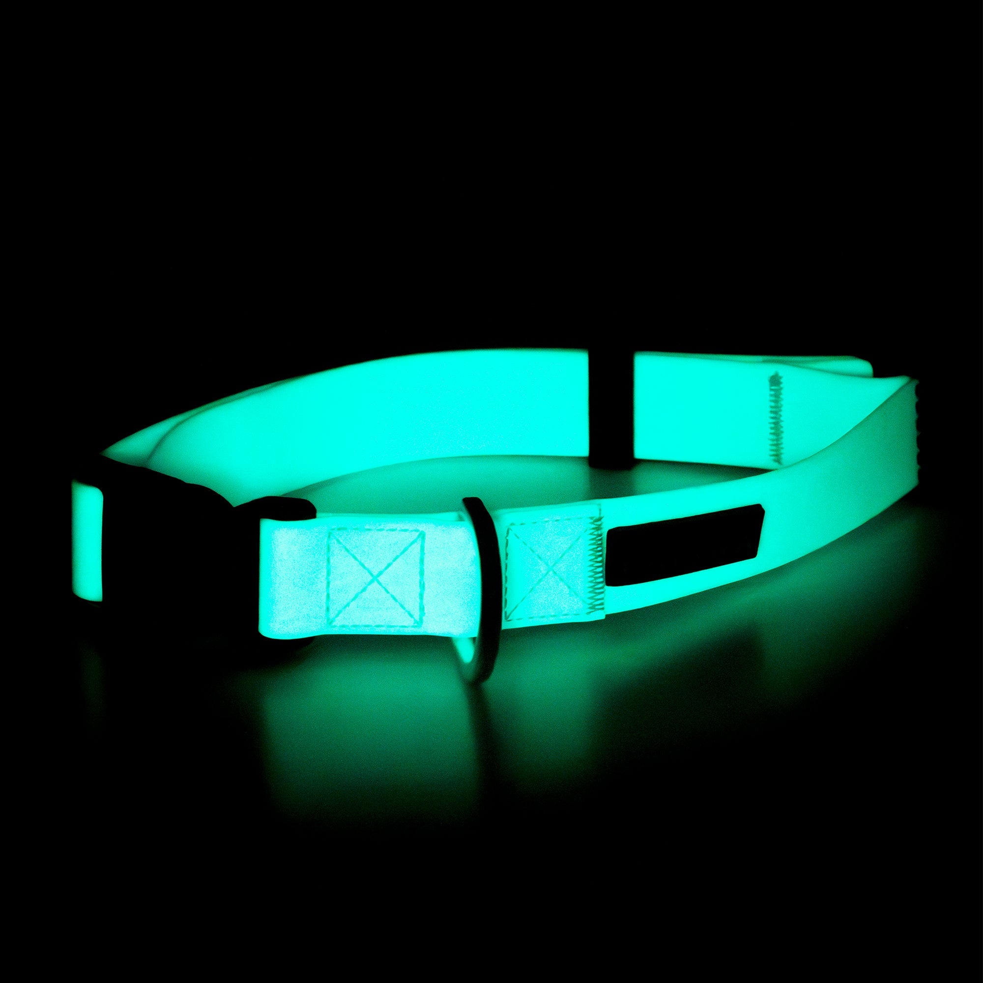 Collare fluorescente Glow per cani