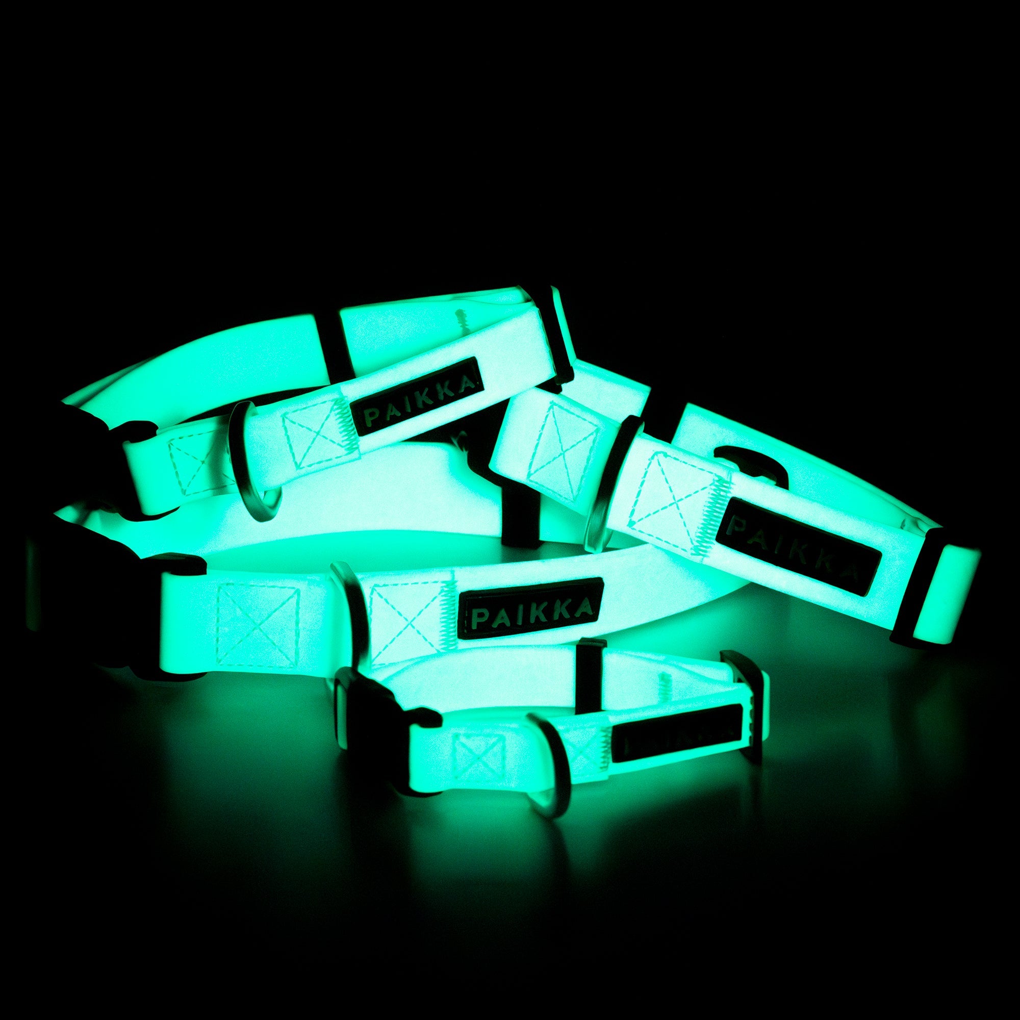 Collare fluorescente Glow per cani