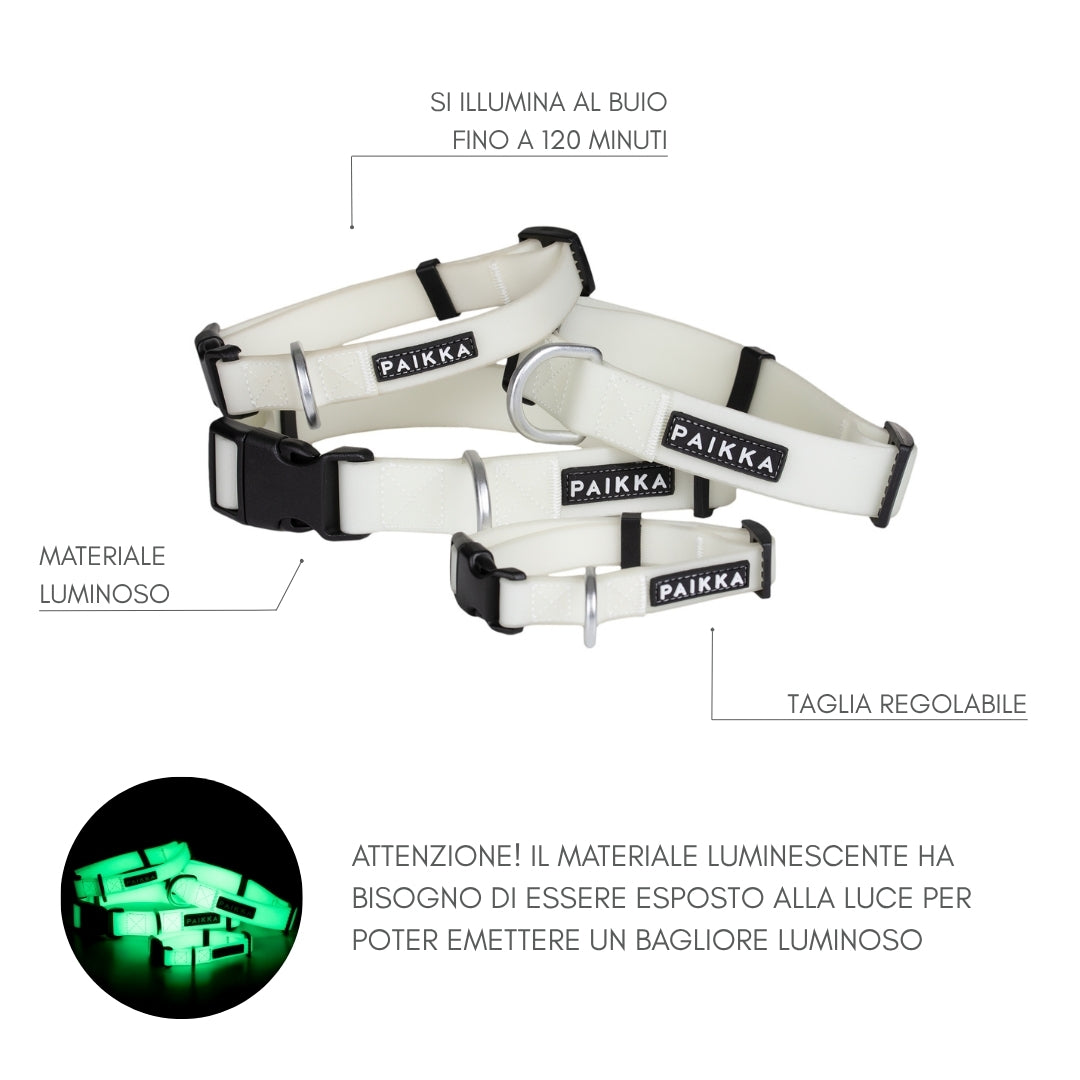 Collare fluorescente Glow per cani