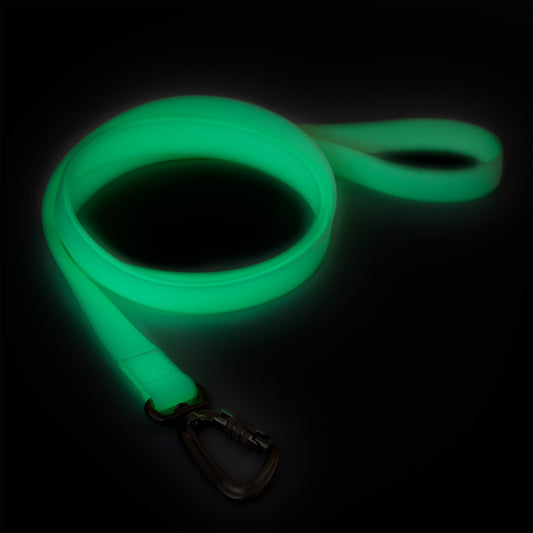 Guinzaglio fluorescente  Glow per cani