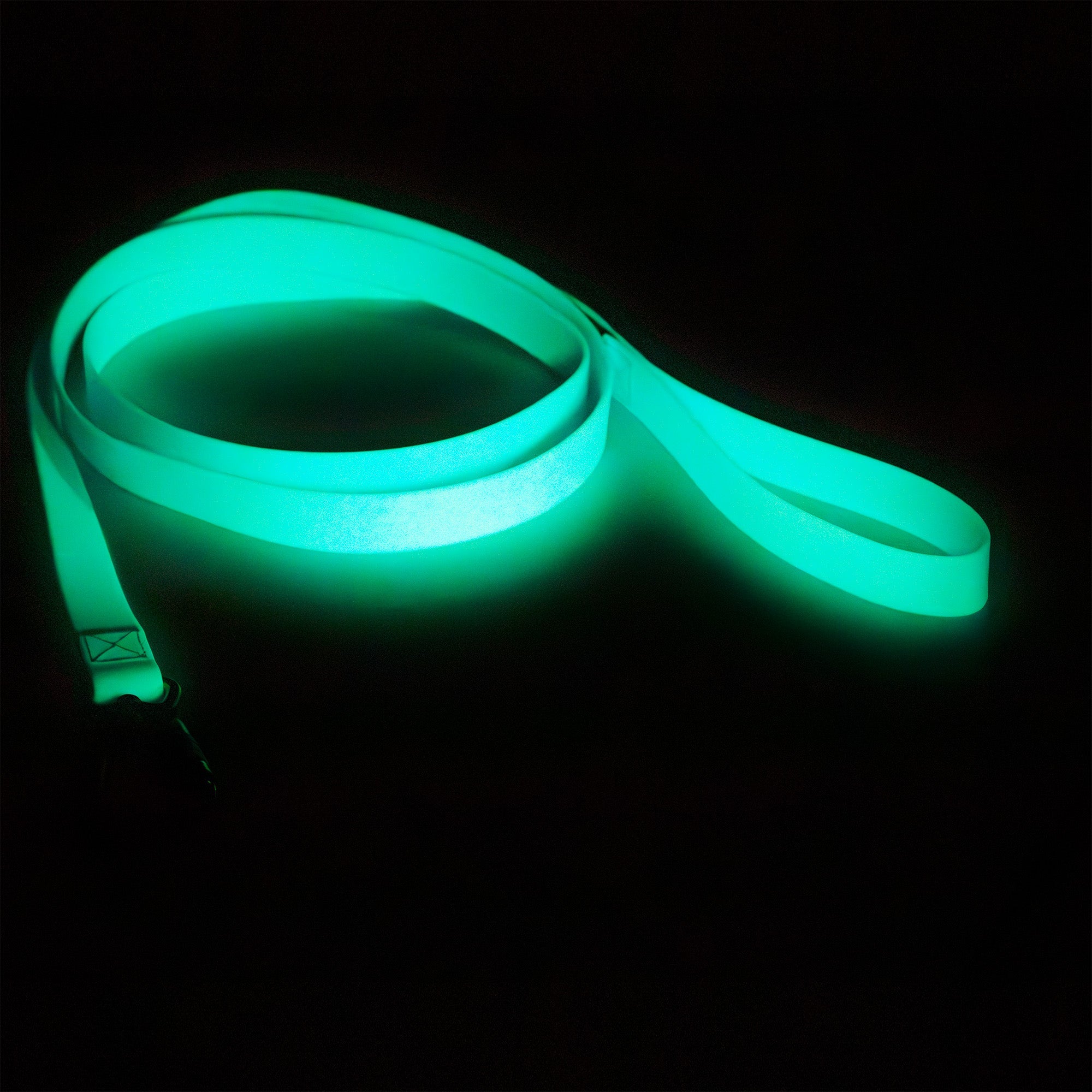 Guinzaglio fluorescente  Glow per cani