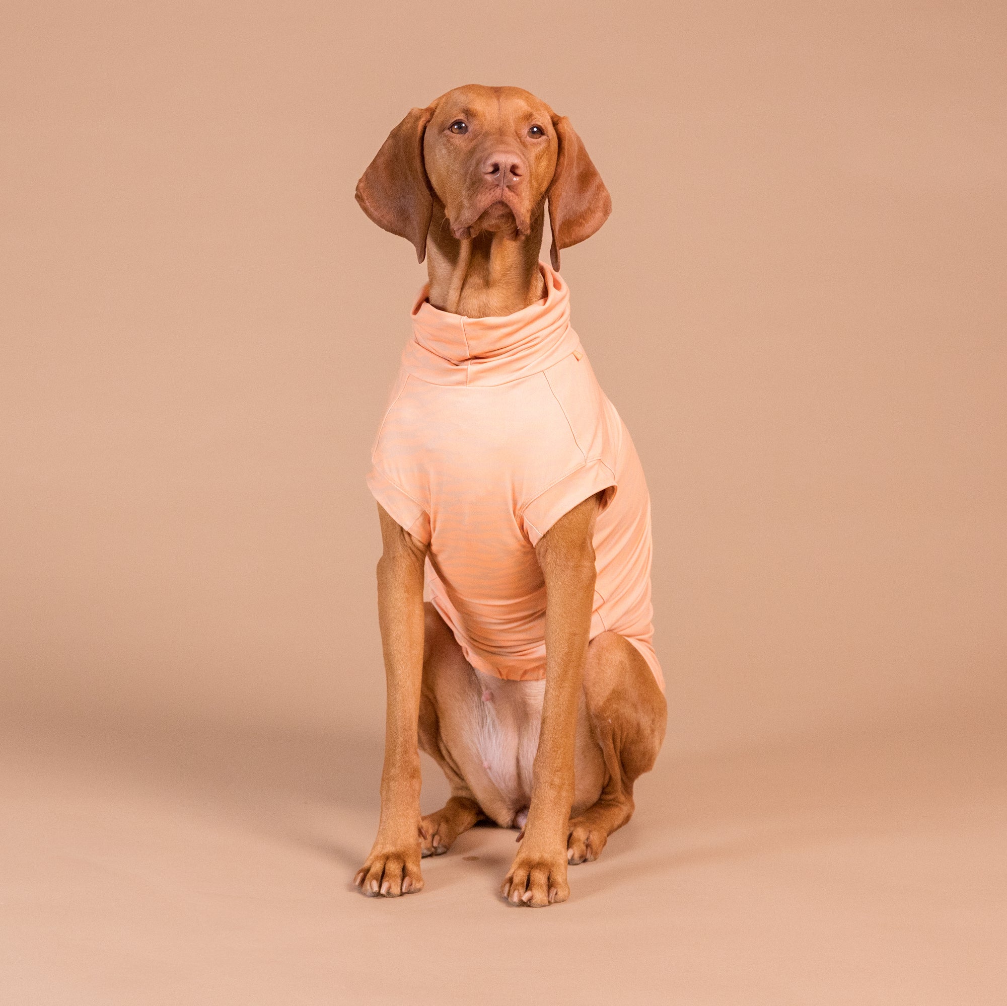 Maglia tecnica per cani protettiva da raggi UV e insetti