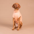 Carica l'immagine nel visualizzatore della galleria, Maglia tecnica per cani protettiva da raggi UV e insetti
