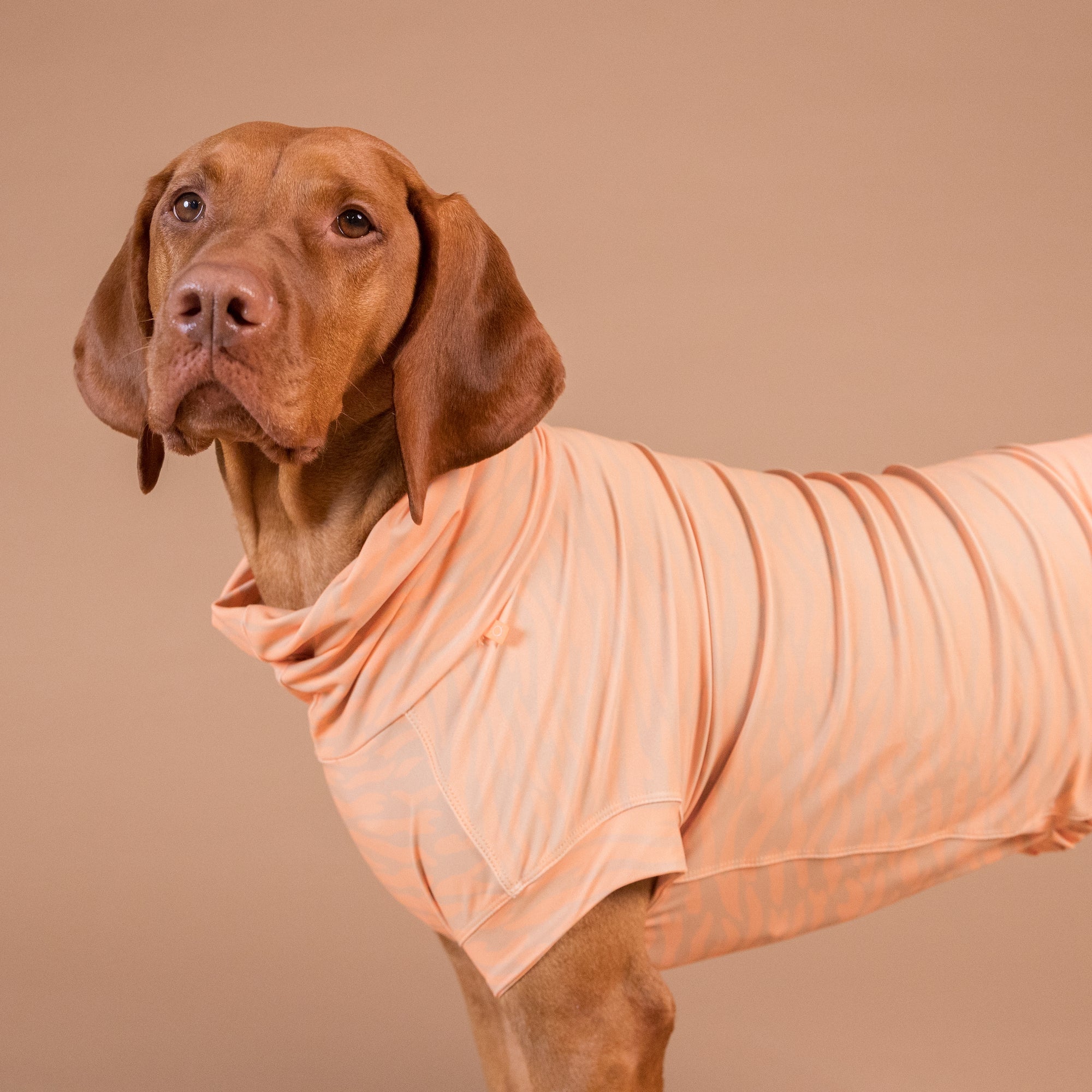 Maglia tecnica per cani protettiva da raggi UV e insetti