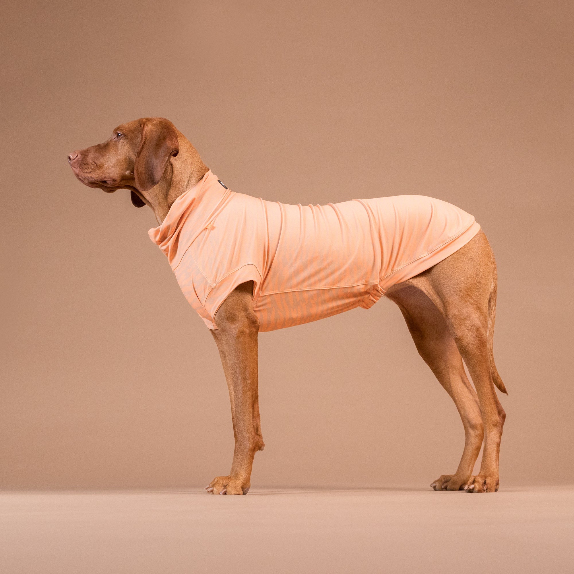 Maglia tecnica per cani protettiva da raggi UV e insetti