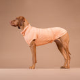 Carica l'immagine nel visualizzatore della galleria, Maglia tecnica per cani protettiva da raggi UV e insetti
