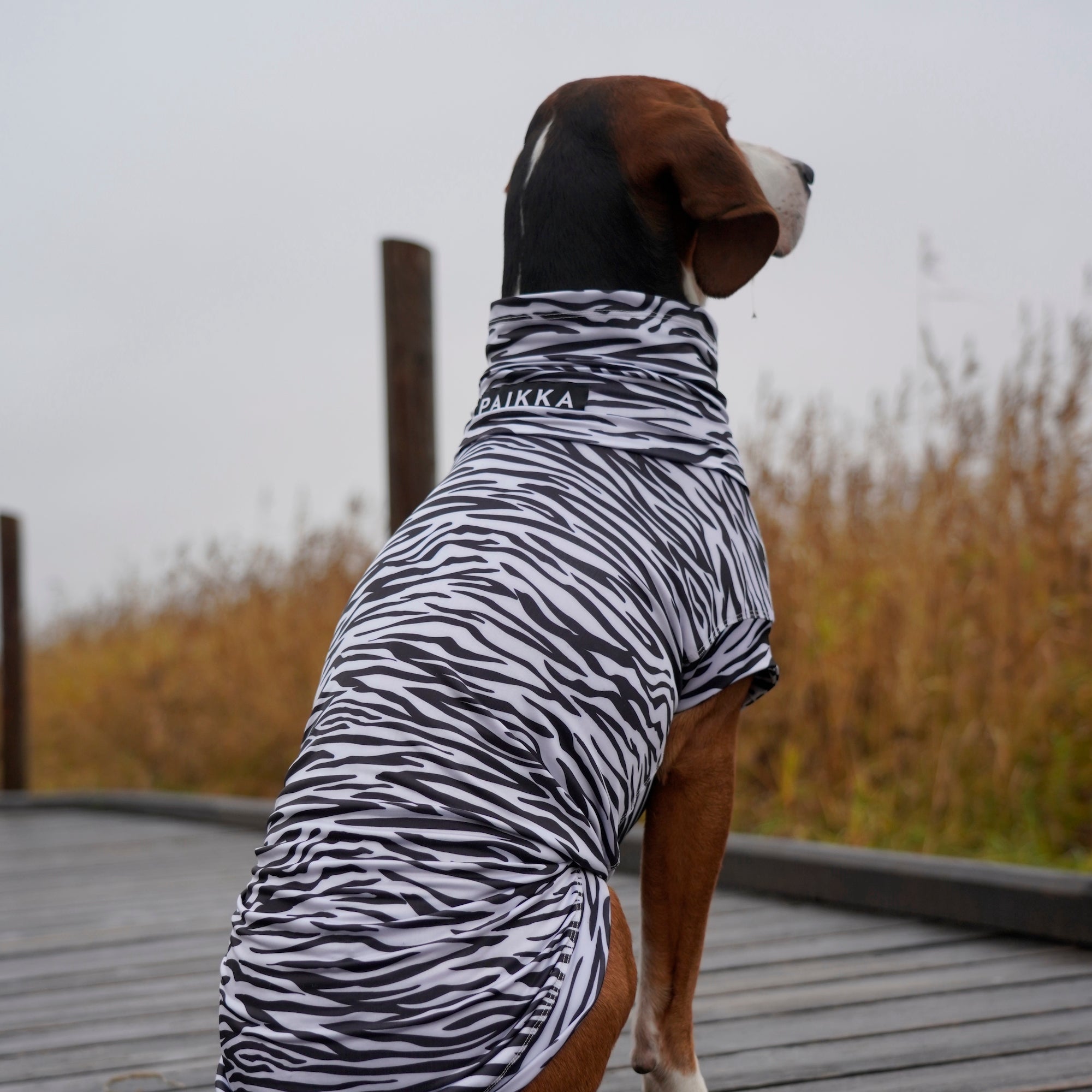 Maglia tecnica per cani protettiva da raggi UV e insetti