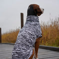 Carica l'immagine nel visualizzatore della galleria, Maglia tecnica per cani protettiva da raggi UV e insetti
