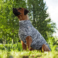 Carica l'immagine nel visualizzatore della galleria, Maglia tecnica per cani protettiva da raggi UV e insetti
