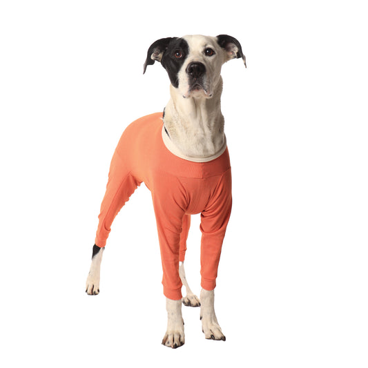 Body post-chirurgico completo per cani e gatti