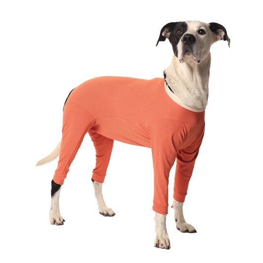 Body post-chirurgico completo per cani e gatti