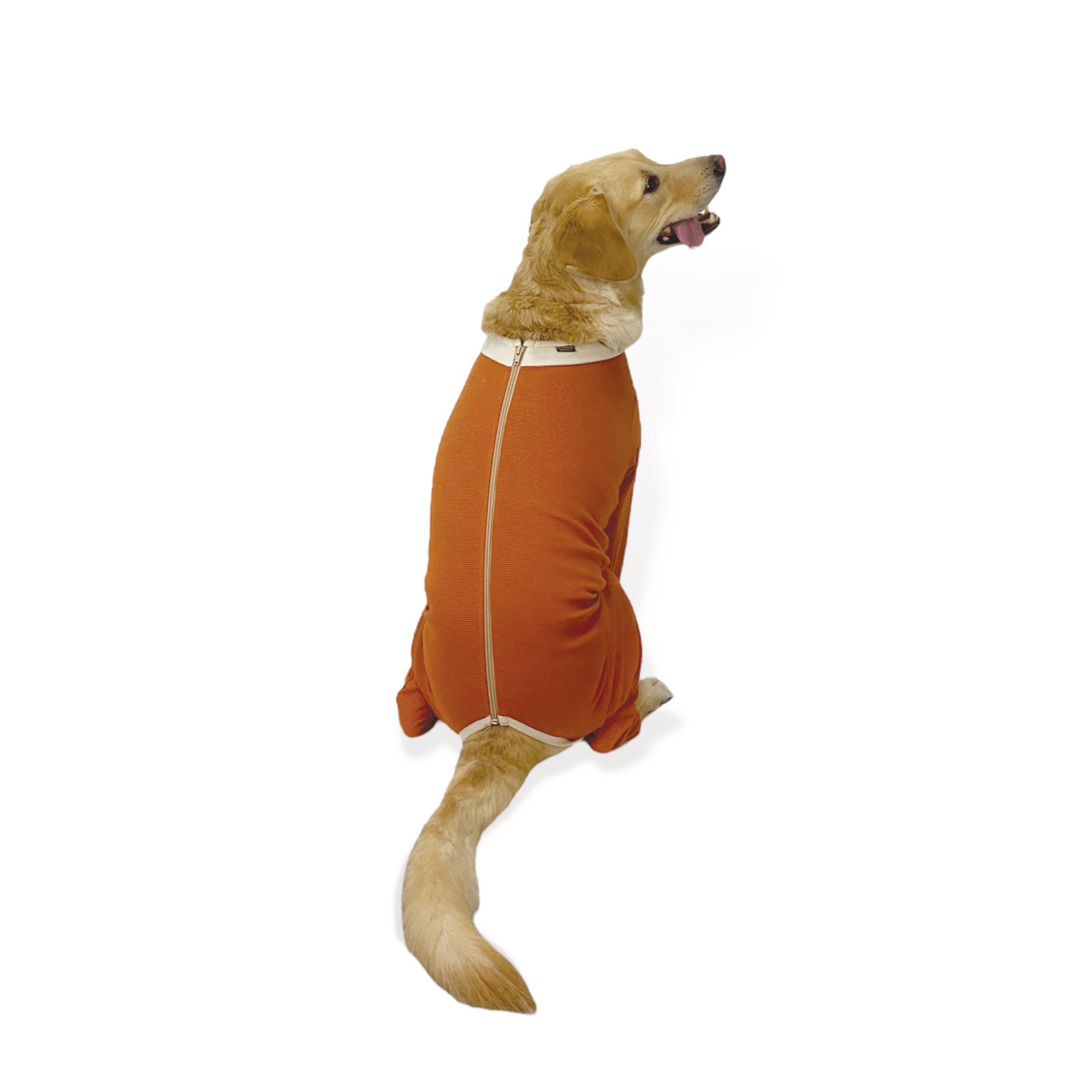 Body post-chirurgico completo per cani e gatti