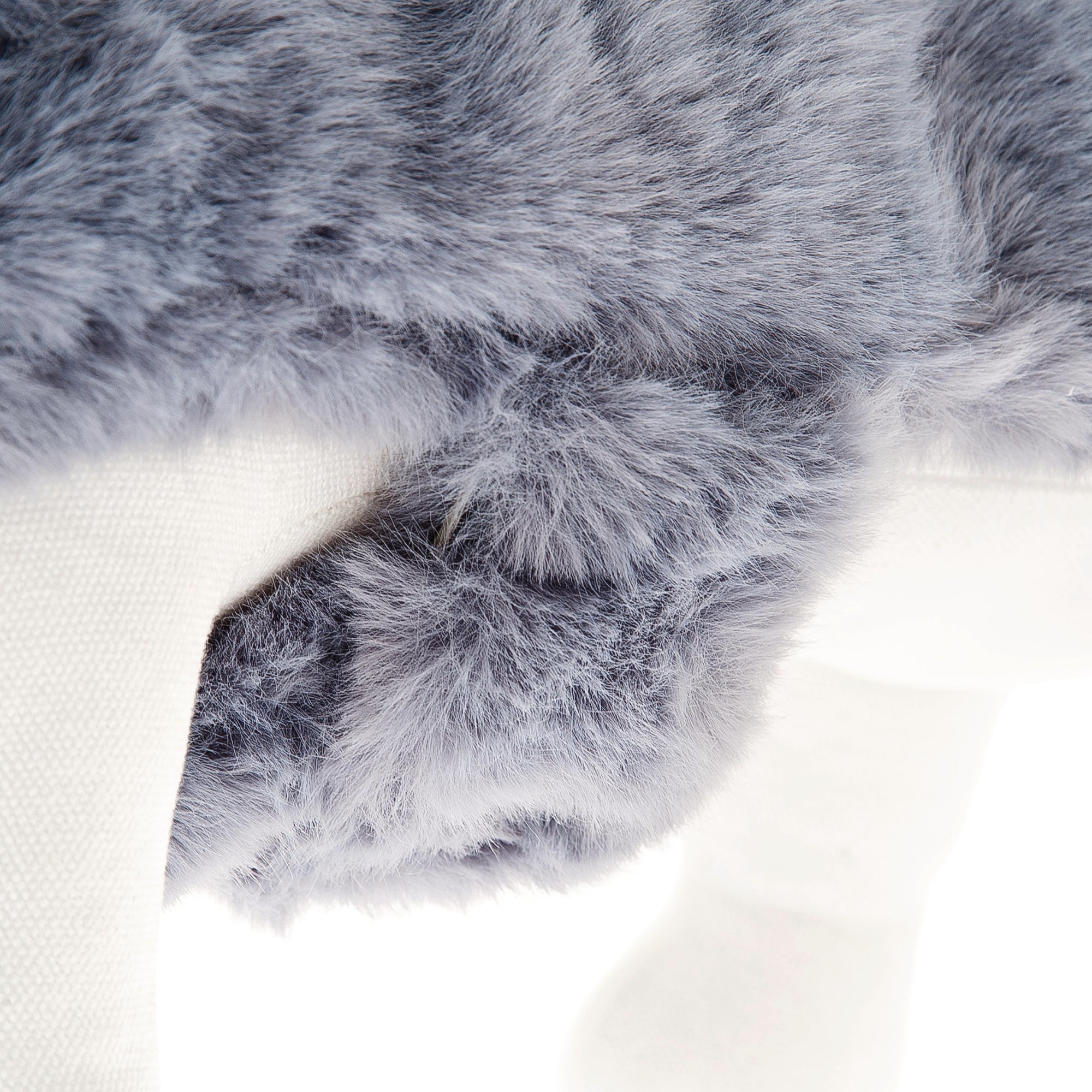 Cappotto per cani Gemma | FERRIBIELLA