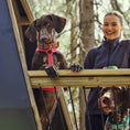 Carica l'immagine nel visualizzatore della galleria, Pettorina per cani Casual Y Eco
