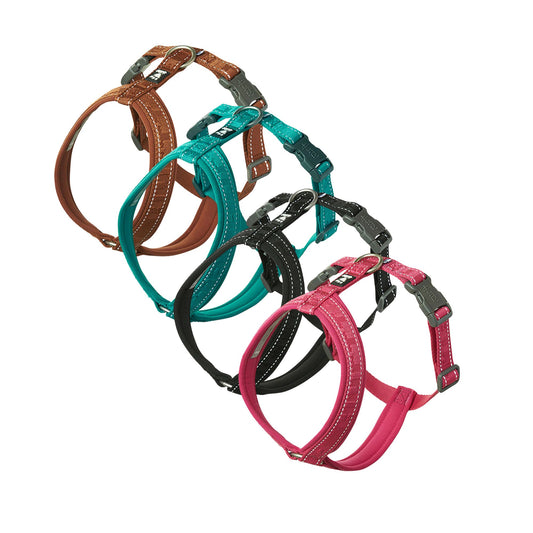 Pettorina per cani Casual Y Eco