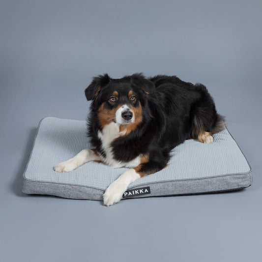 Materasso Ortopedico Rinfrescante per cani