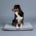 Carica l'immagine nel visualizzatore della galleria, Materasso Ortopedico Rinfrescante per cani
