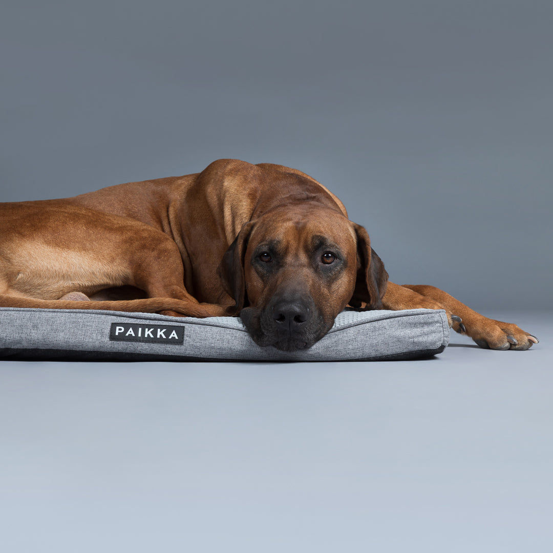 Materasso Ortopedico Rinfrescante per cani