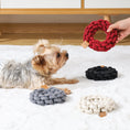 Carica l'immagine nel visualizzatore della galleria, Coto Red Ring - Gioco per cani e gatti in cotone
