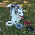 Carica l'immagine nel visualizzatore della galleria, Coto Red Ring - Gioco per cani e gatti in cotone

