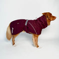 Carica l'immagine nel visualizzatore della galleria, Giacca invernale per cani Extreme Warmer III Eco
