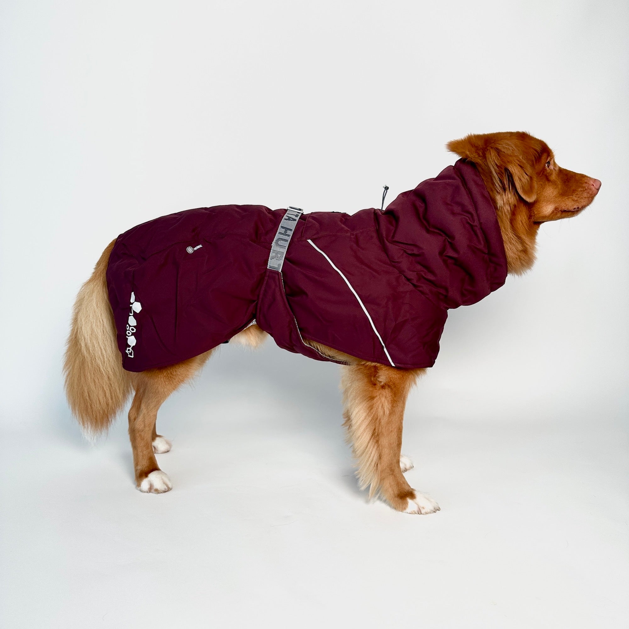 Giacca invernale per cani Extreme Warmer III Eco