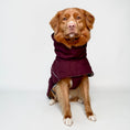 Carica l'immagine nel visualizzatore della galleria, Giacca invernale per cani Extreme Warmer III Eco
