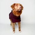 Carica l'immagine nel visualizzatore della galleria, Giacca invernale per cani Extreme Warmer III Eco
