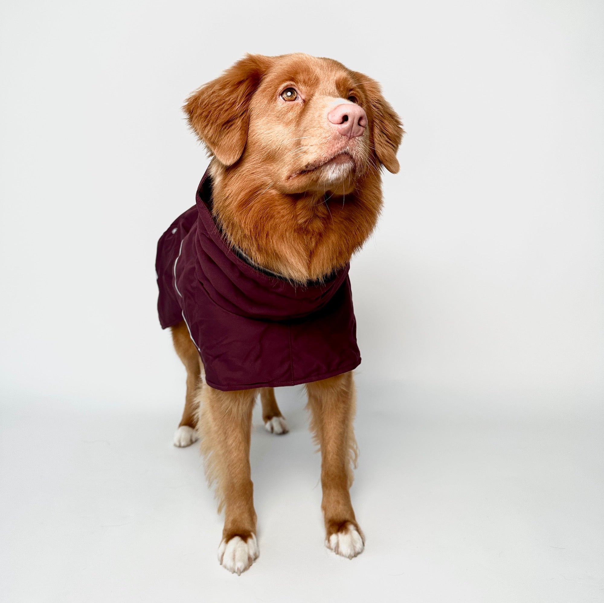 Giacca invernale per cani Extreme Warmer III Eco