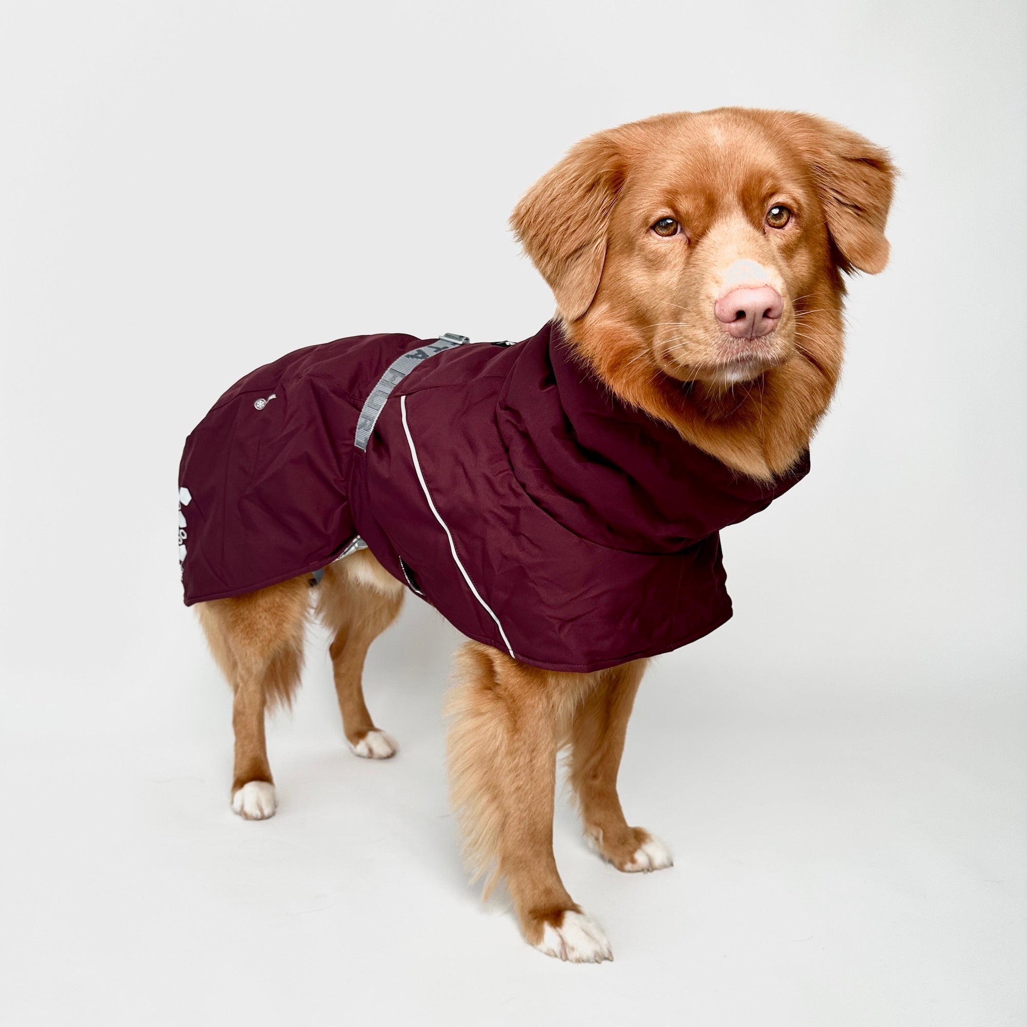 Giacca invernale per cani Extreme Warmer III Eco