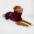 Carica l'immagine nel visualizzatore della galleria, Giacca invernale per cani Extreme Warmer III Eco

