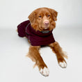 Carica l'immagine nel visualizzatore della galleria, Giacca invernale per cani Extreme Warmer III Eco
