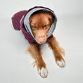 Carica l'immagine nel visualizzatore della galleria, Giacca invernale per cani Extreme Warmer III Eco
