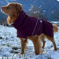 Carica l'immagine nel visualizzatore della galleria, Giacca invernale per cani Extreme Warmer III Eco
