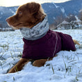Carica l'immagine nel visualizzatore della galleria, Giacca invernale per cani Extreme Warmer III Eco
