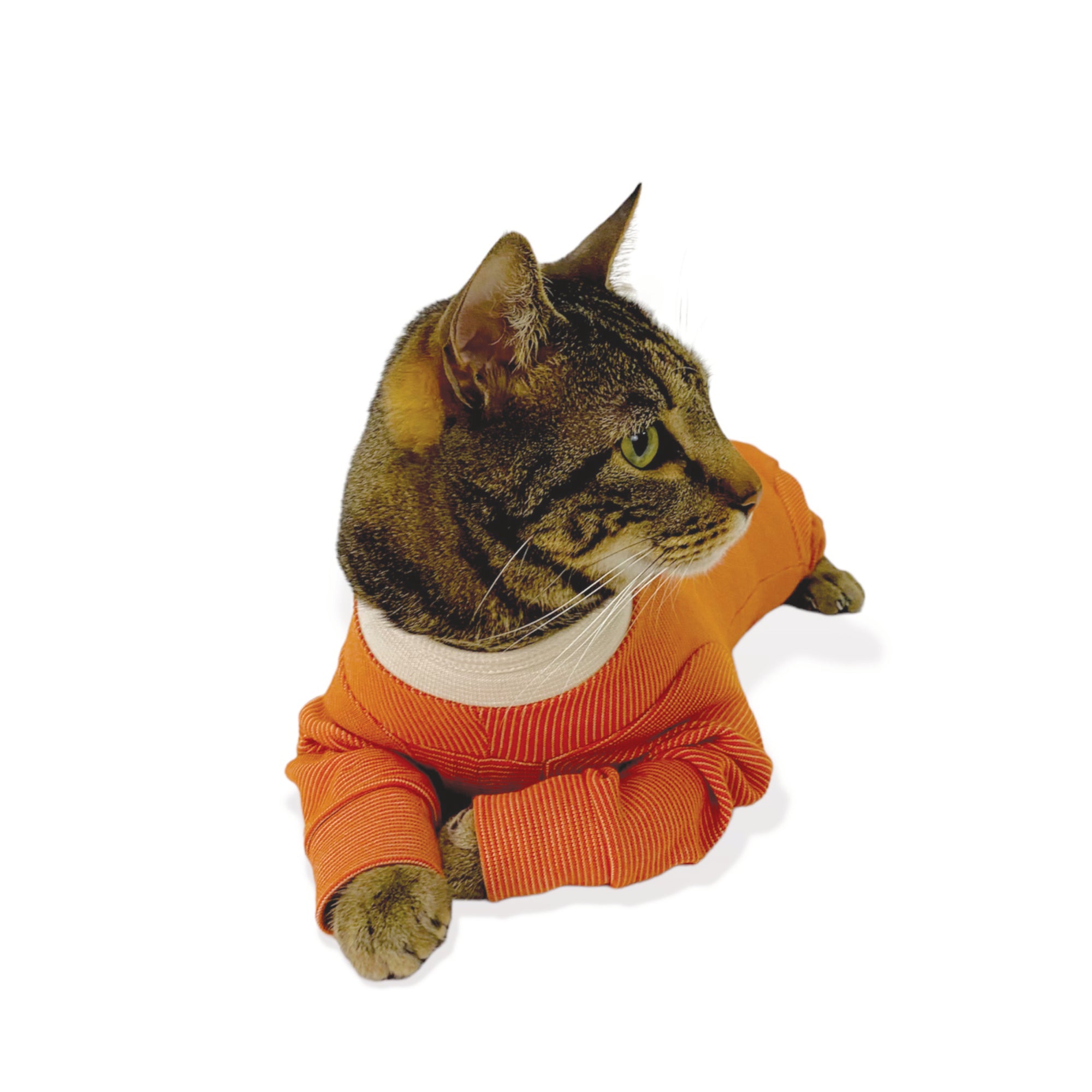 Body post-chirurgico completo per cani e gatti