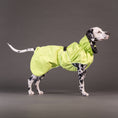 Carica l'immagine nel visualizzatore della galleria, PAIKKA Guscio giacca riflettente e impermeabile per cani
