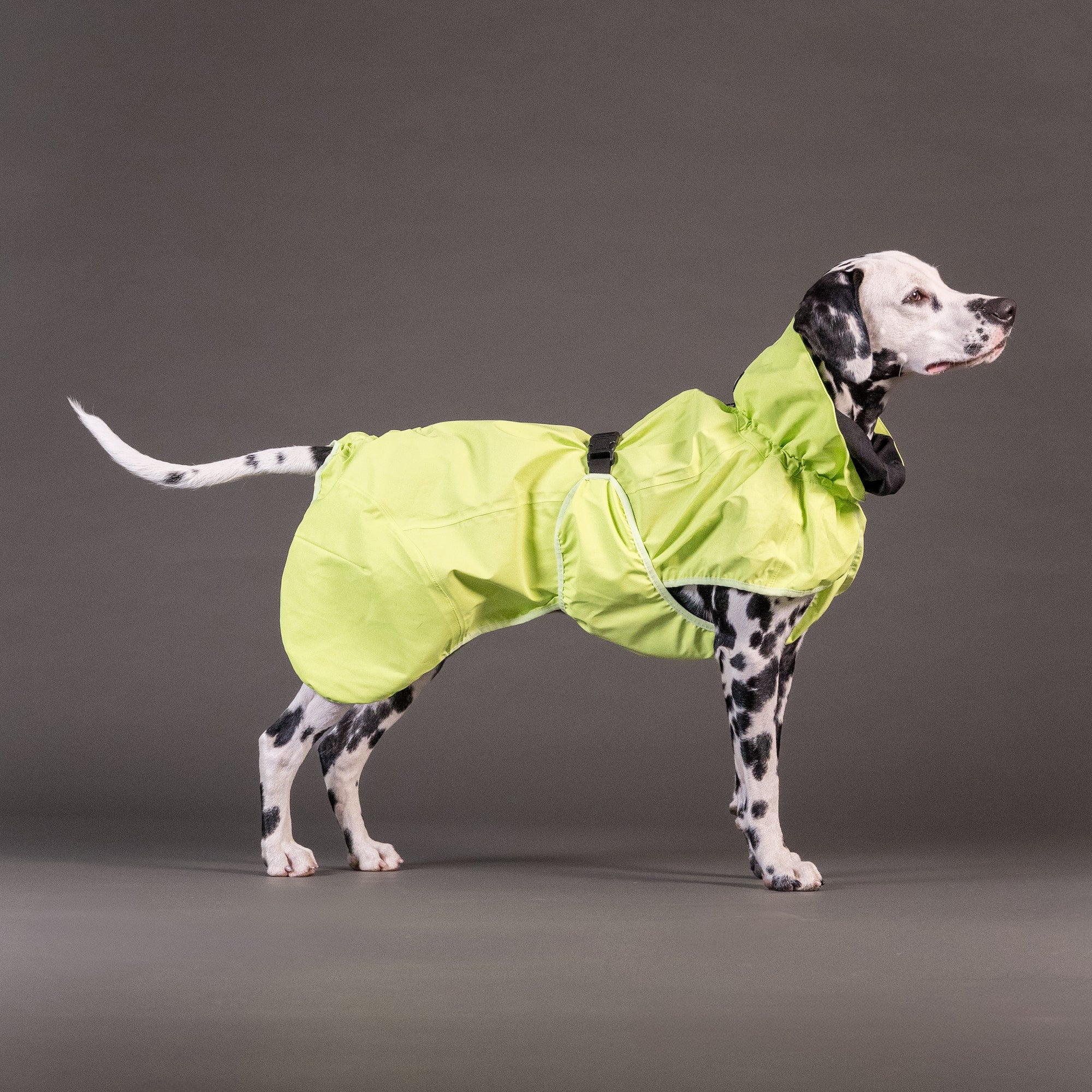PAIKKA Guscio giacca riflettente e impermeabile per cani