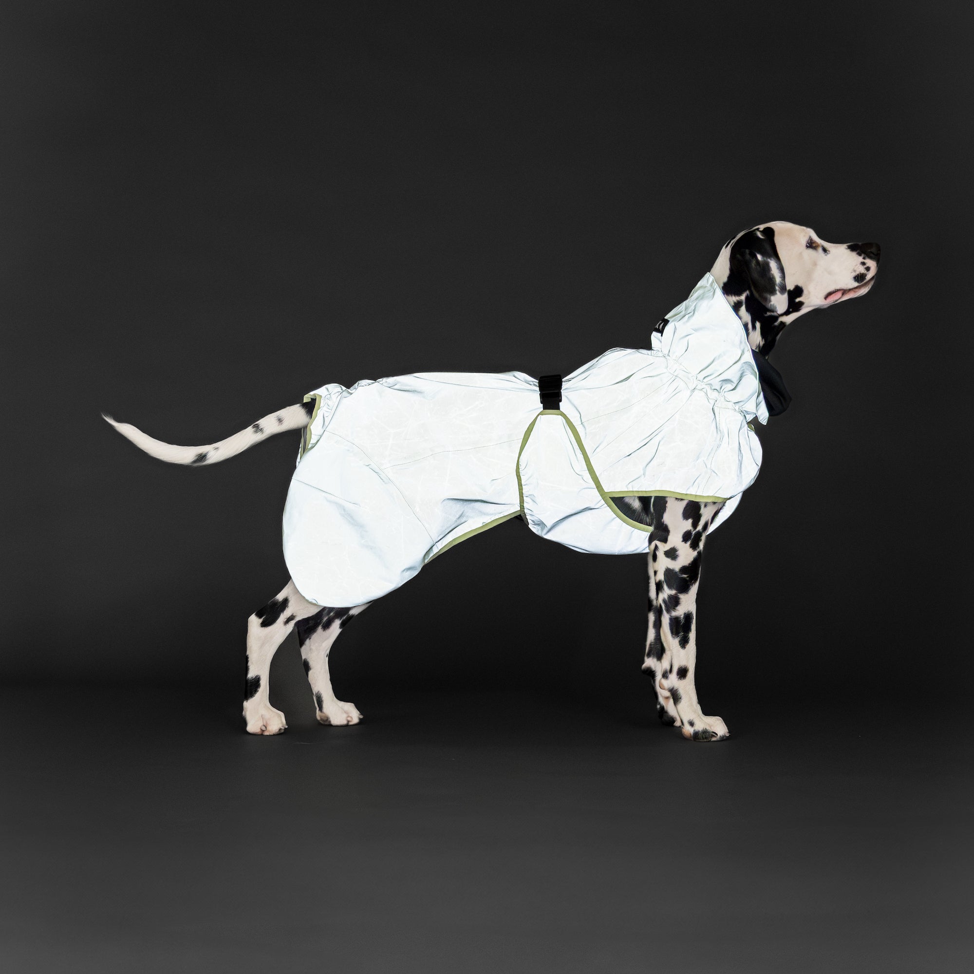 Guscio riflettente per cani