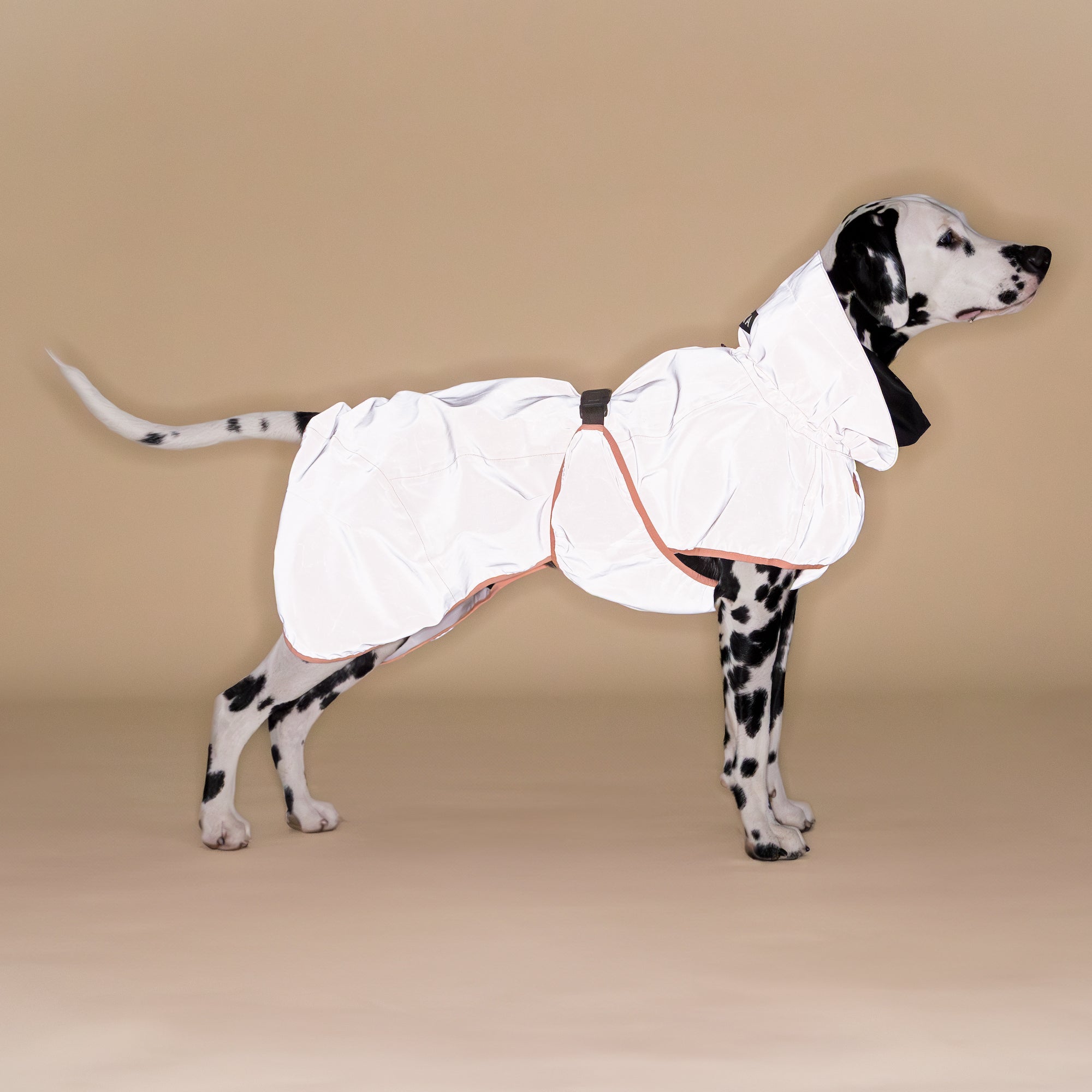 Guscio riflettente per cani